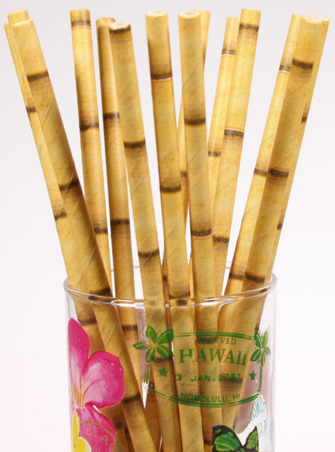 Papírová brčka Bamboo s bambusovým vzorem 10 ks (Hnědá) SL-22_2.jpg