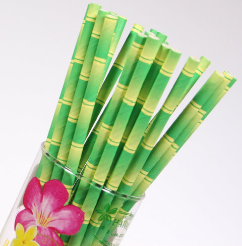 Papírová brčka Bamboo s bambusovým vzorem 10 ks SL-21_2.jpg