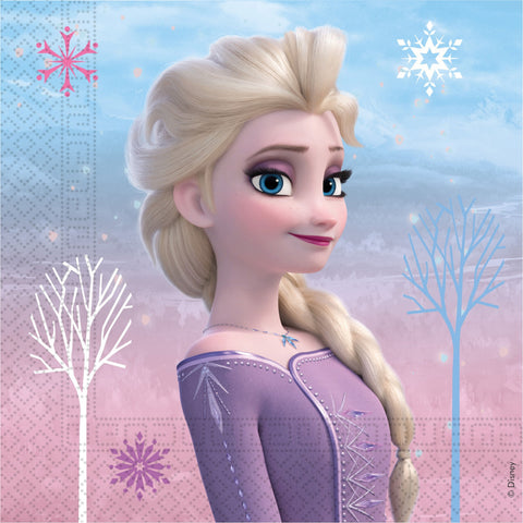 Papírové 2vrstvé ubrousky FROZEN II 93840.jpg