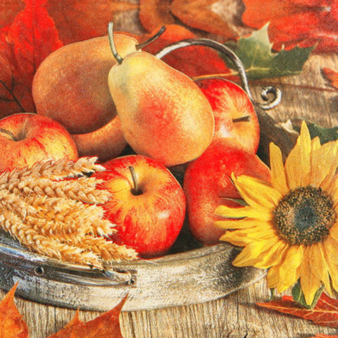 Prémiové papírové ubrousky 33x33 cm (20 ks) 211309_1.jpg