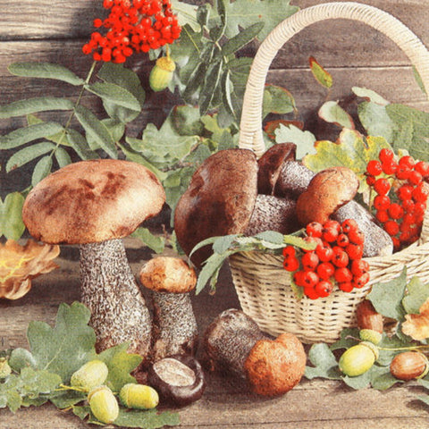 Prémiové papírové ubrousky 33x33 cm (20 ks) 212021_1.jpg