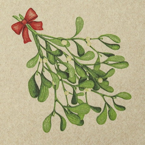 Vánoční papírové ubrousky 33x33 cm (20ks) 642203_1.jpg