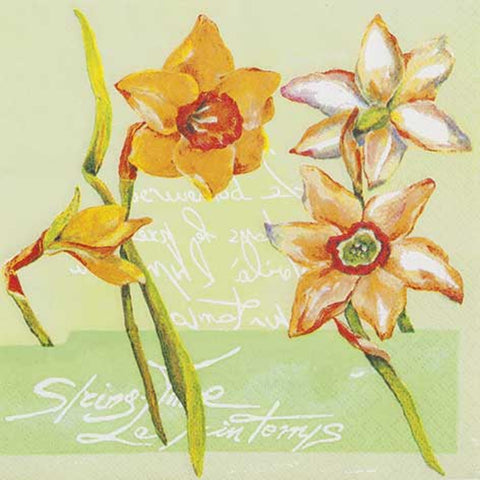 Velikonoční papírové ubrousky 33x33 cm (20 ks) 211900_1.jpg
